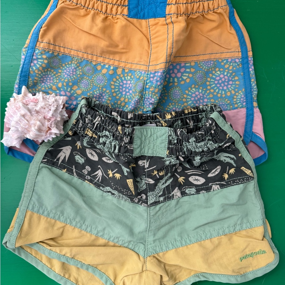 Patagonia 3T Shorts